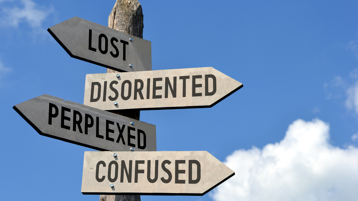 graphic with text: lost. disoriented. perplexed. confused.