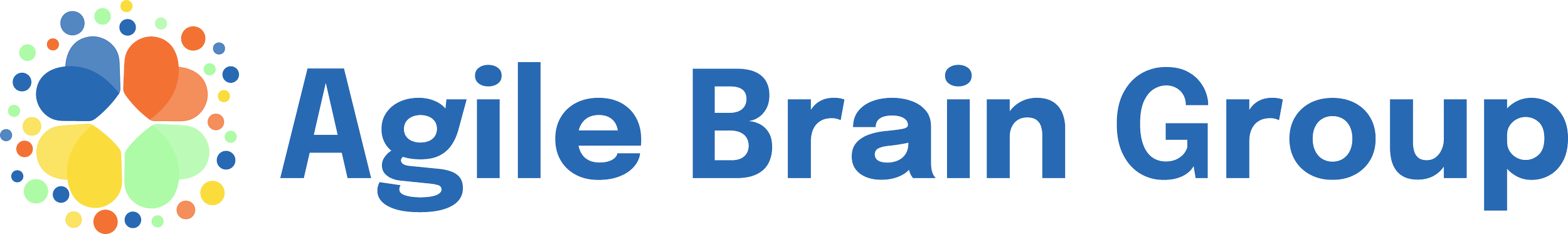 Agile Brain Group
